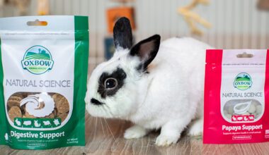 Rabbit with Natural Science Digestive Support and Papaya Support