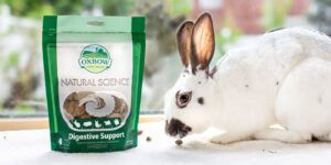 rabbit next to Natural Science Digestive Support