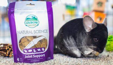 Chinchilla eating Natural Science joint support supplement