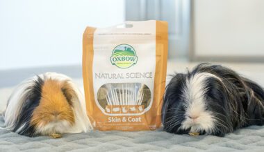 Guinea pigs eating Natural Science Skin and Coat Supplements for Small Mammals