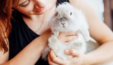 Cute young woman with beautiful fluffy rabbit