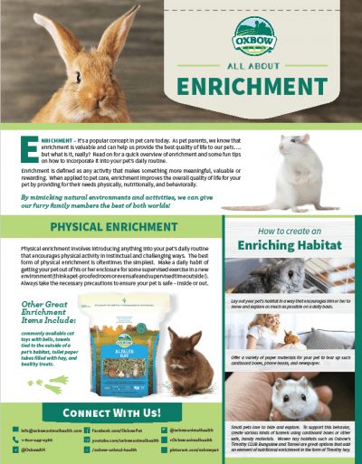 All About Enrichment (Handout) - Oxbow Animal Health