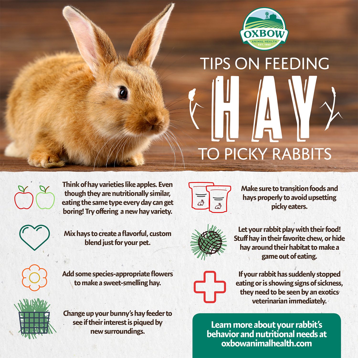 Types of hot sale rabbit hay