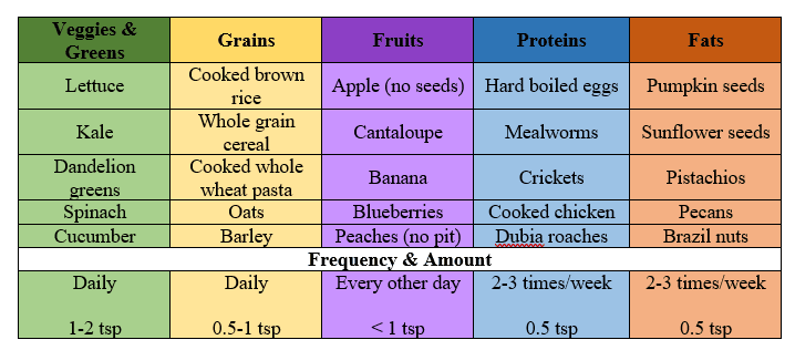 hamster food list