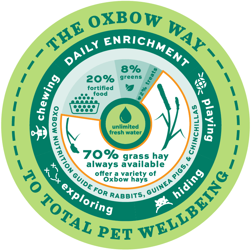 How To Provide Nutritional Enrichment For Small Pets - Oxbow Animal Health