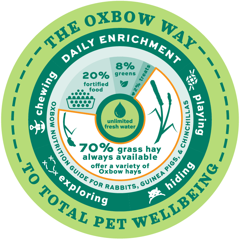 How To Provide Nutritional Enrichment For Small Pets - Oxbow Animal Health