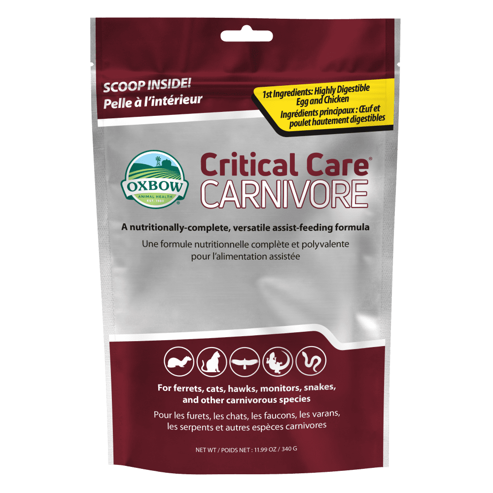 Critical Care Food for Carnivores Oxbow Animal Health