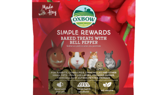 oxbow rabbit treats