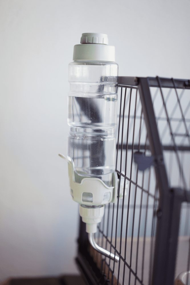 Enriched Life Dripless Water Bottle Oxbow Animal Health