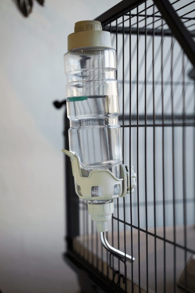 Enriched Life Dripless Water Bottle Oxbow Animal Health