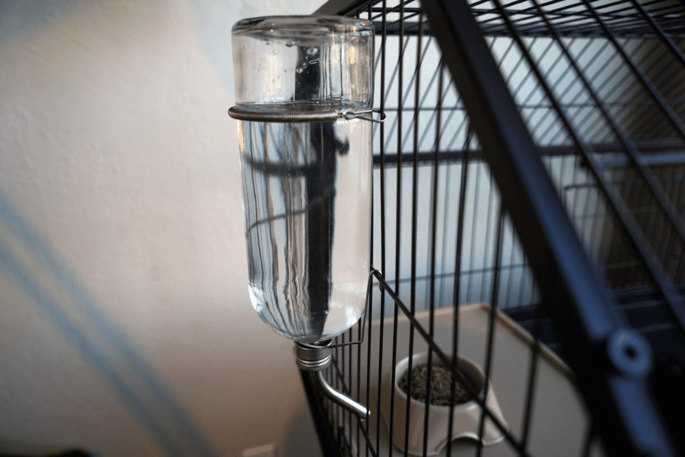 Enriched Life Chew Proof Glass Water Bottle Oxbow Animal Health