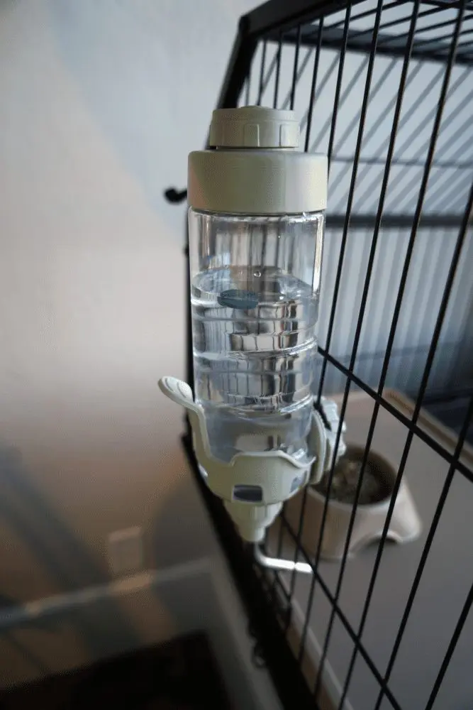 Enriched Life Dripless Water Bottle Oxbow Animal Health