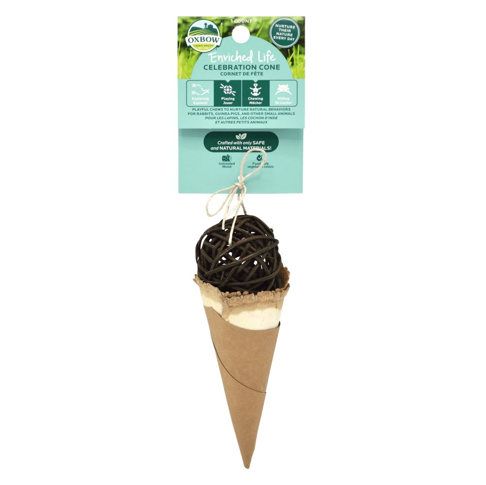 10 Best Toys & Accessories for Pet Rats and Mice