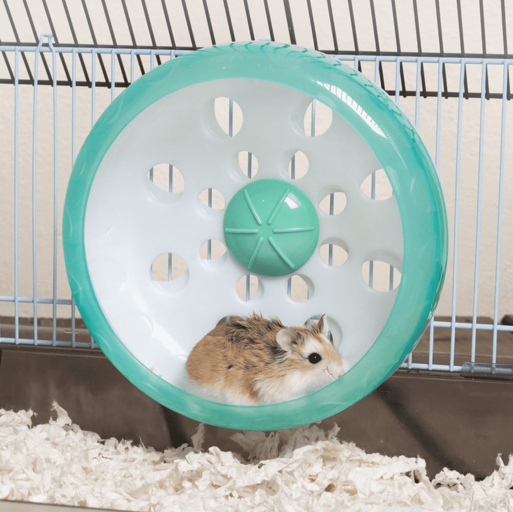 Enriched Life - Attachable Quiet Wheel - Oxbow Animal Health