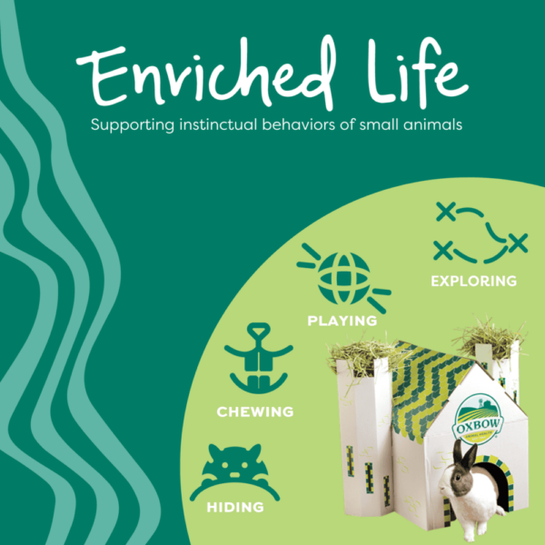 Enriched Life - Crazy Hay Ball