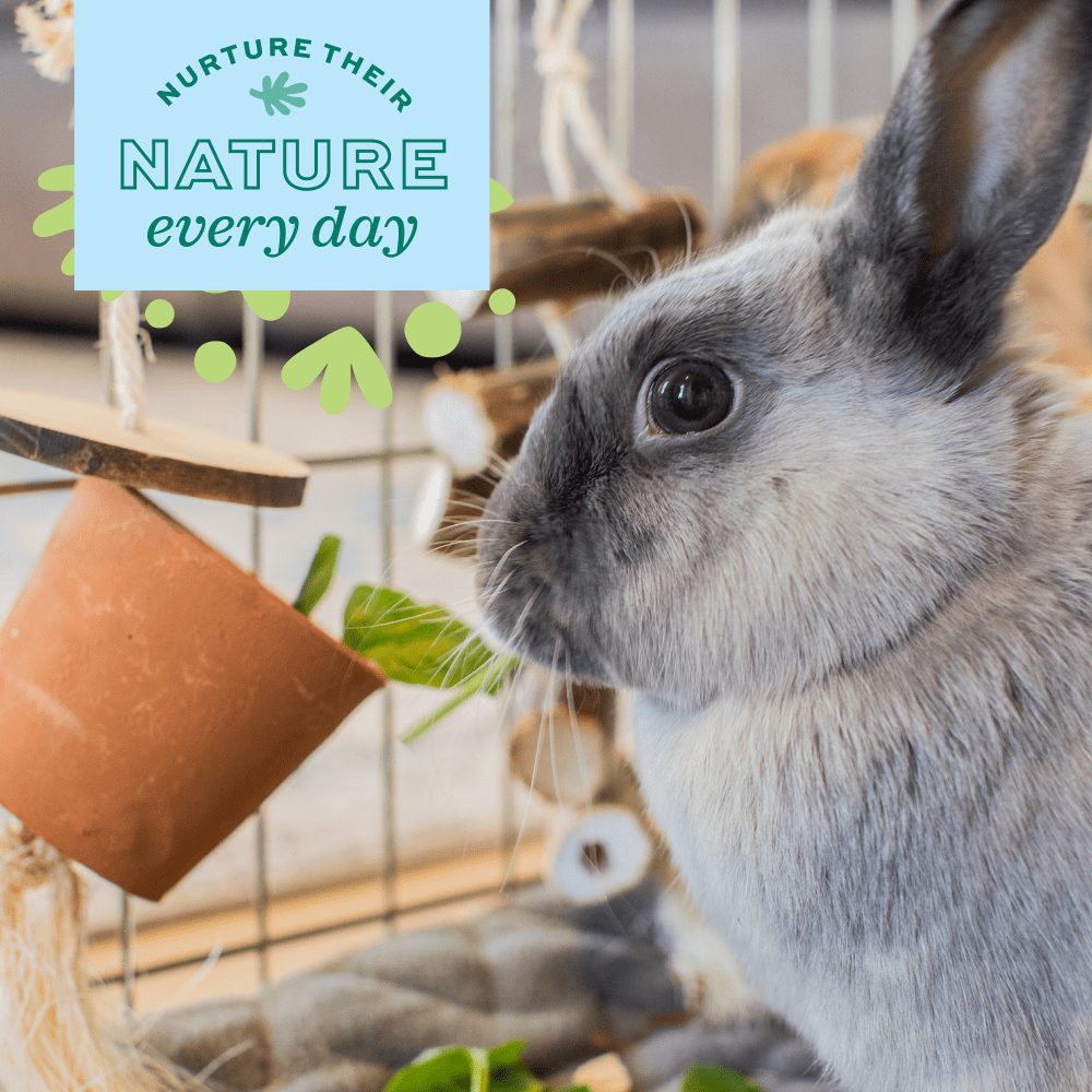 Enriched Life Forage Pot Oxbow Animal Health