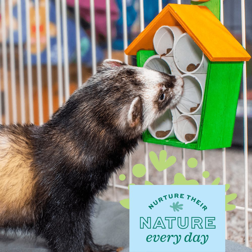 Enriched Life The Treat House Oxbow Animal Health