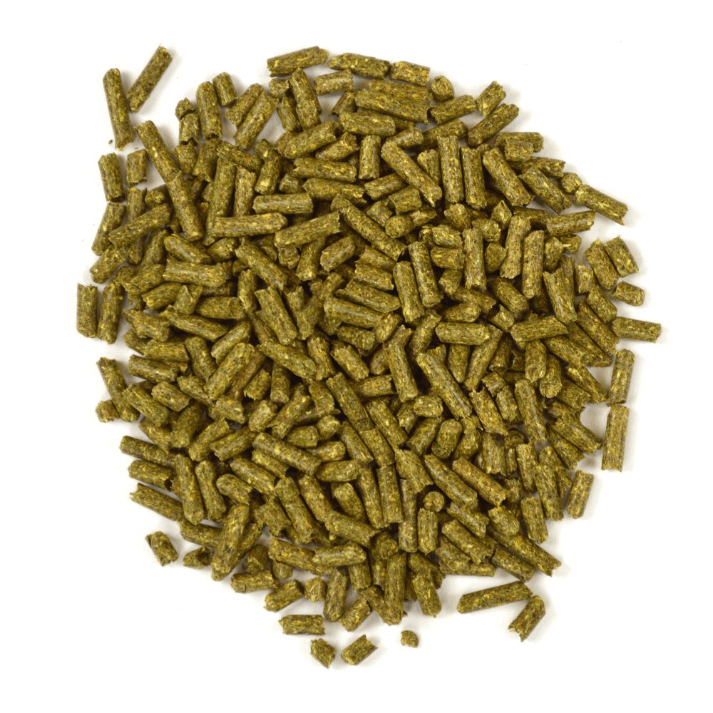 Image showcasing Garden Select Adult Guinea Pig Food - Oxbow Animal Health