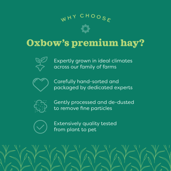 Why_Choose_Oxbow_Hay_Dec_2021
