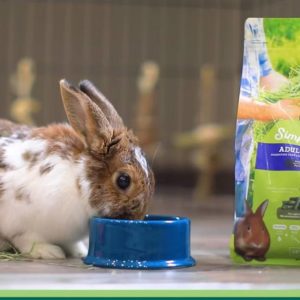 Simple Harvest Young Rabbit Food - Oxbow Animal Health