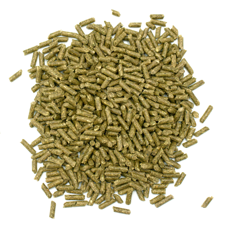Picture of Essentials Senior Guinea Pig Food - Oxbow Animal Health