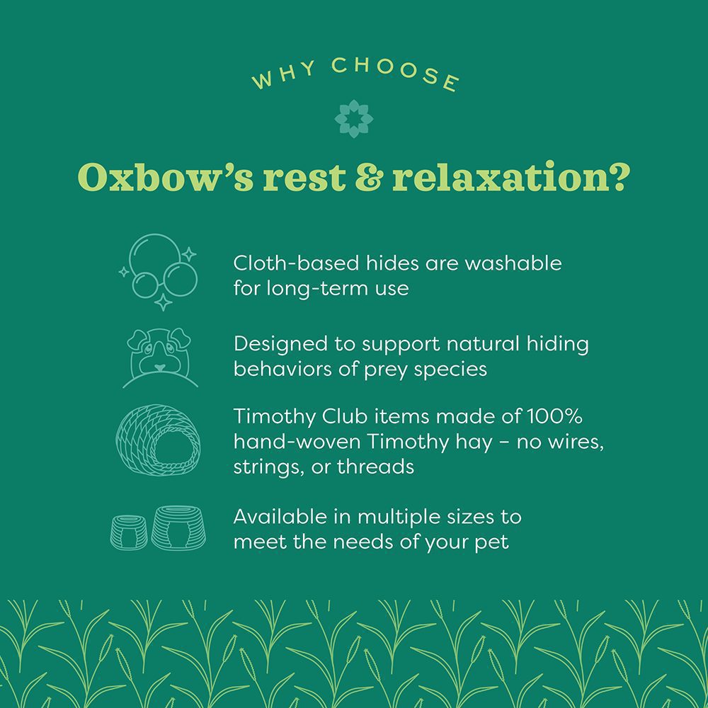 Enriched Life Hideaway Hive Oxbow Animal Health