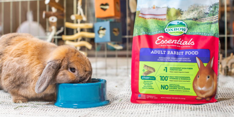 Do Rabbits Need Calcium?