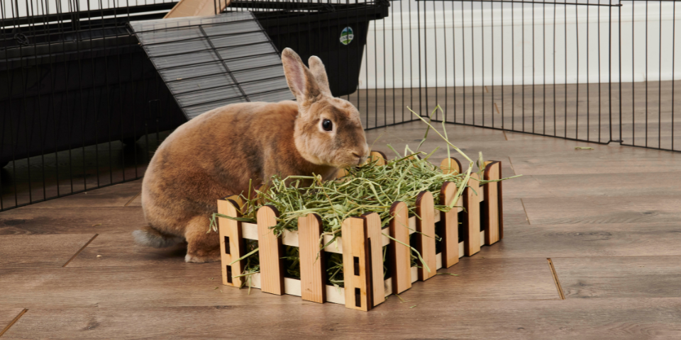 How to make a rabbit puzzle feeder 