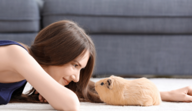 Woman at home on floor with guinea pig