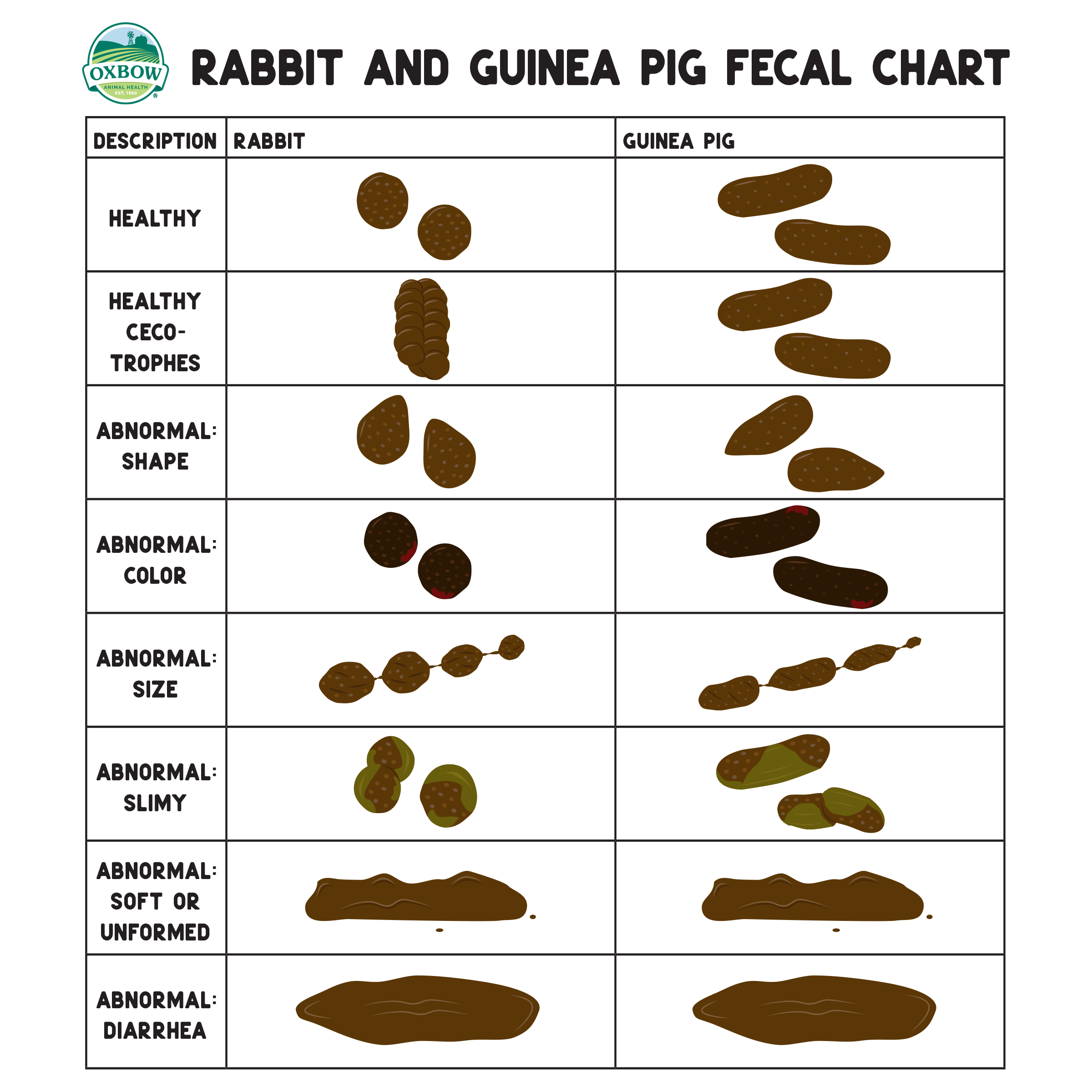 Animal Poop Identification Chart