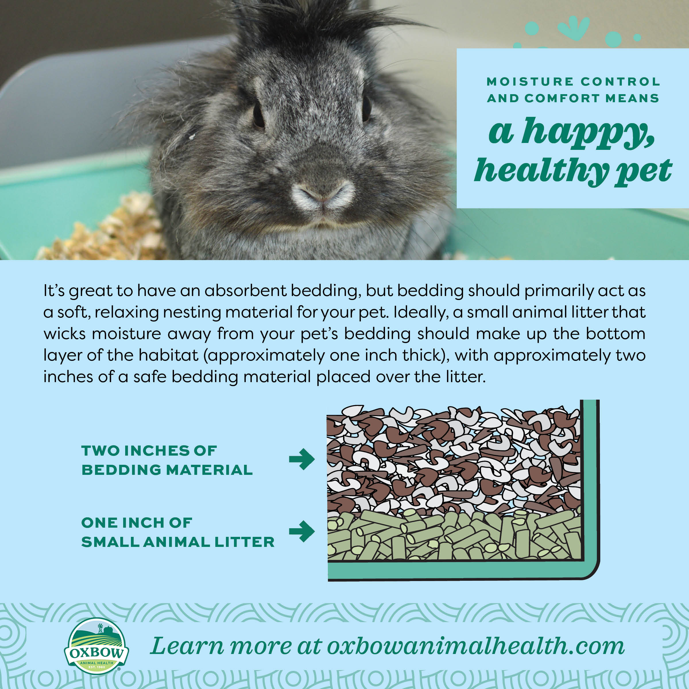 Ideal Litter and Bedding infographic