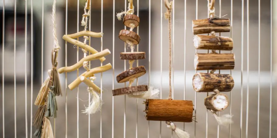 Group of natural dangly chews hanging from pet habitat