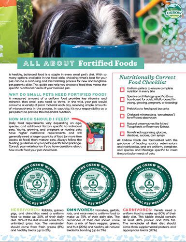 Educational handout about fortified food for pets