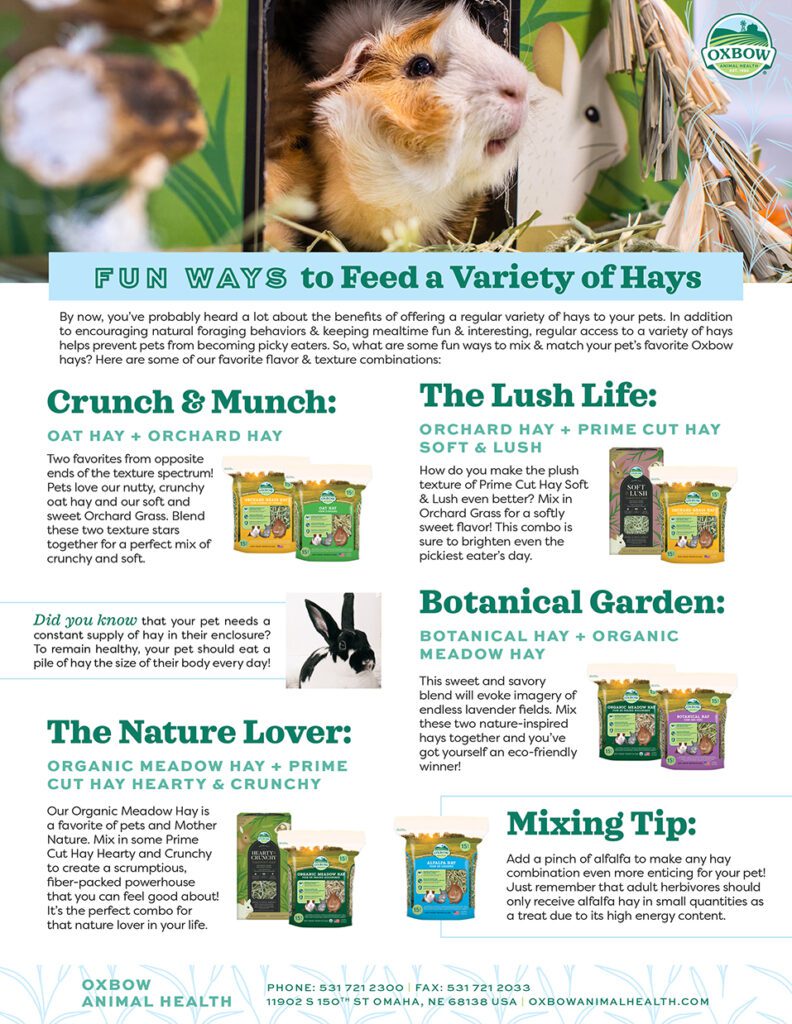 Fun Ways to Feed a Variety of Hays from Oxbow Animal Health