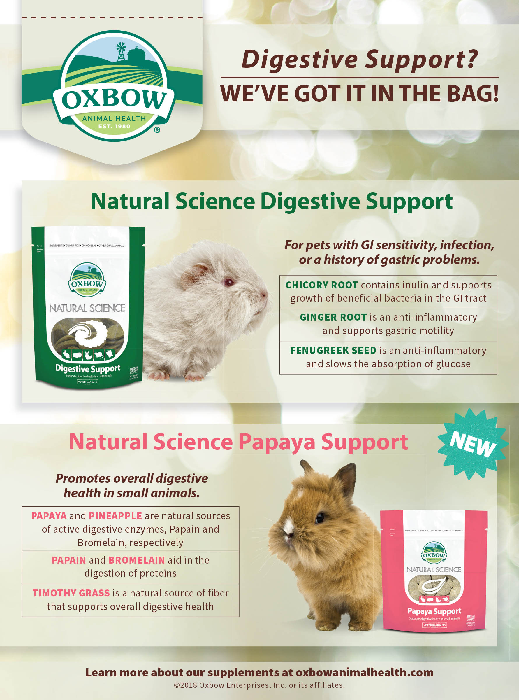 Which is better for my pet: Natural Science Digestive Support, or Natural Science Papaya Support?