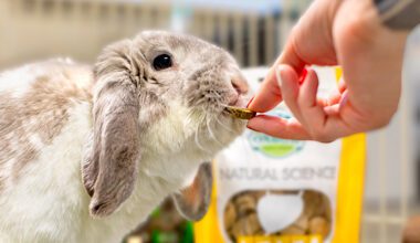 Rabbit being offered Natural Science Urinary Support