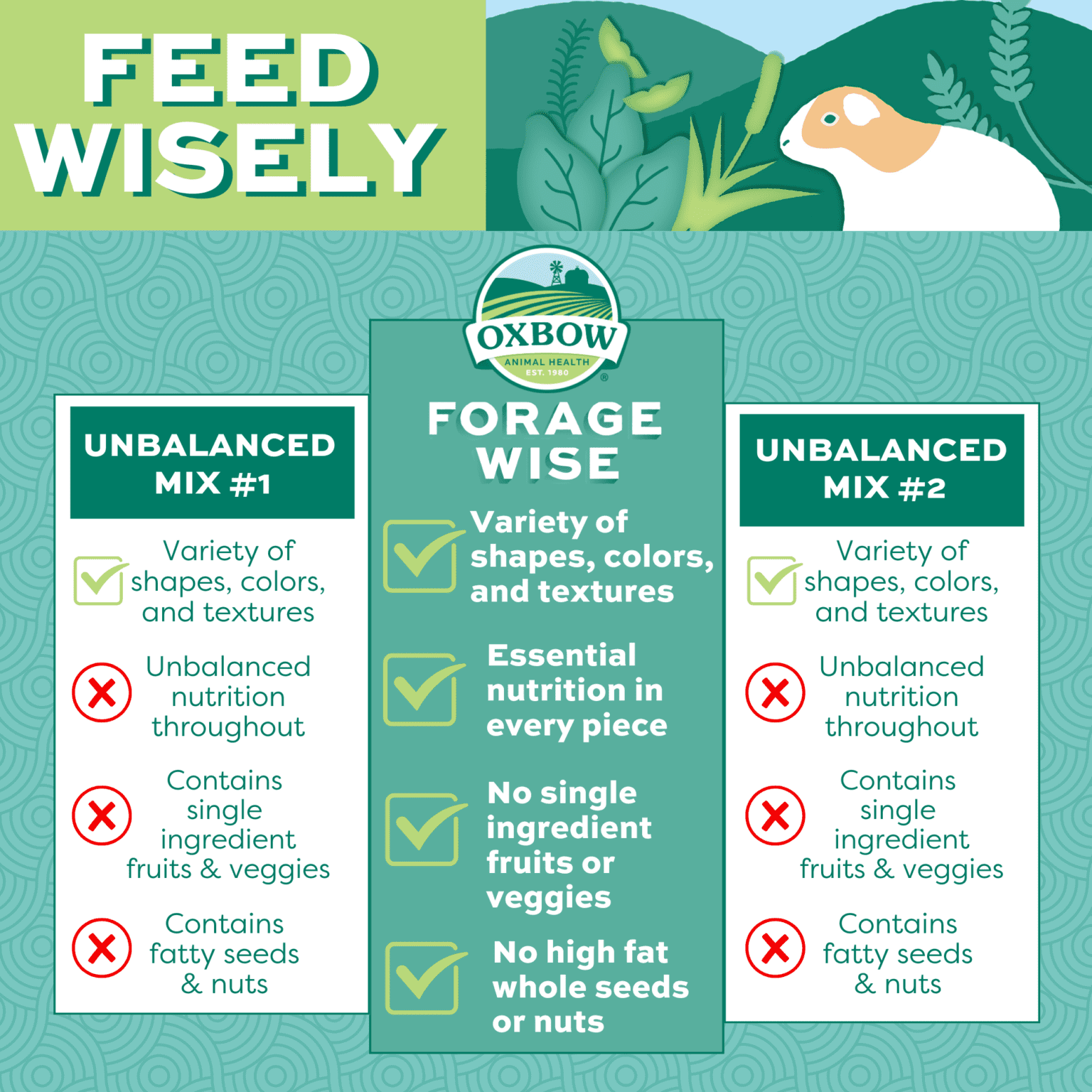 Photo inspiration: Visual Reference: Forage Wise Adult Guinea Pig Food