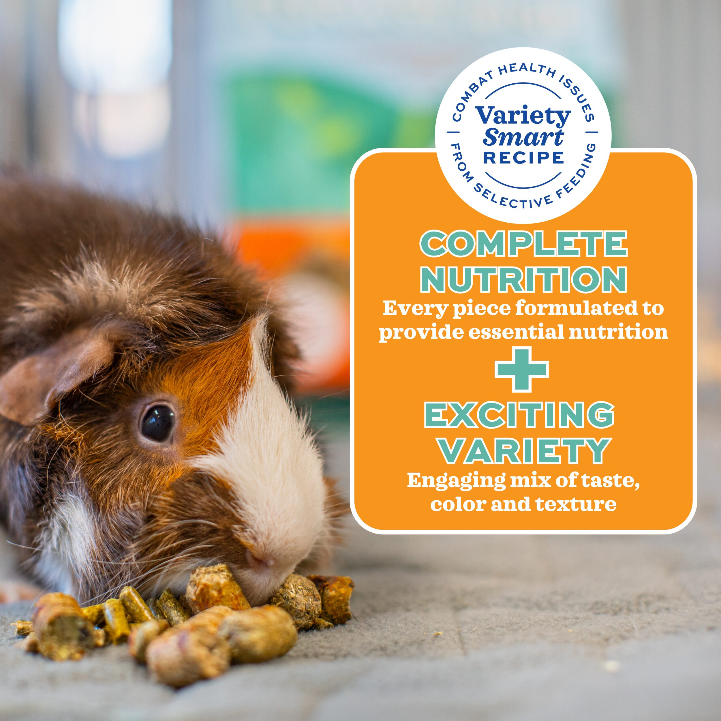 Curated visual reference: Guinea Pig Forage Diet Reference: Forage Wise Adult Guinea Pig Food