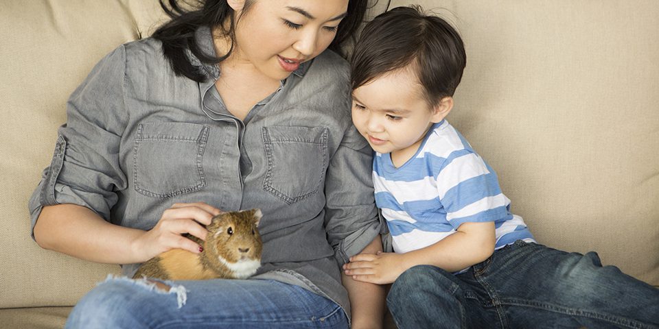 Smiling woman sitting on a sofa, a guinea pig sitting on her lap, her young son watching