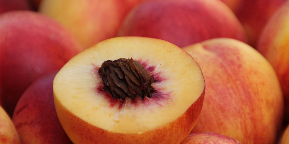 what rabbits cannot eat peach pit