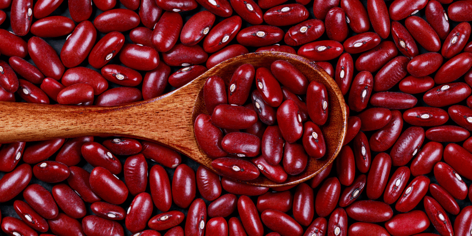 what rabbits cannot eat beans