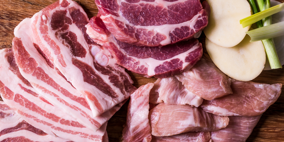what rabbits cannot eat meat