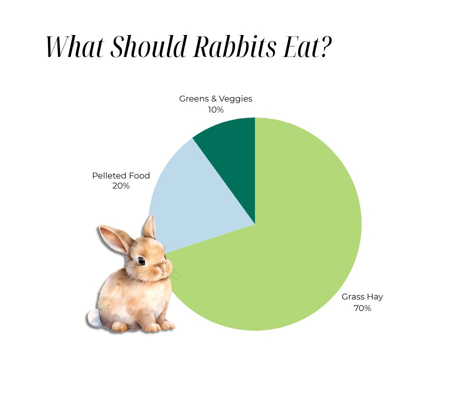 what should rabbits eat percentage graphic