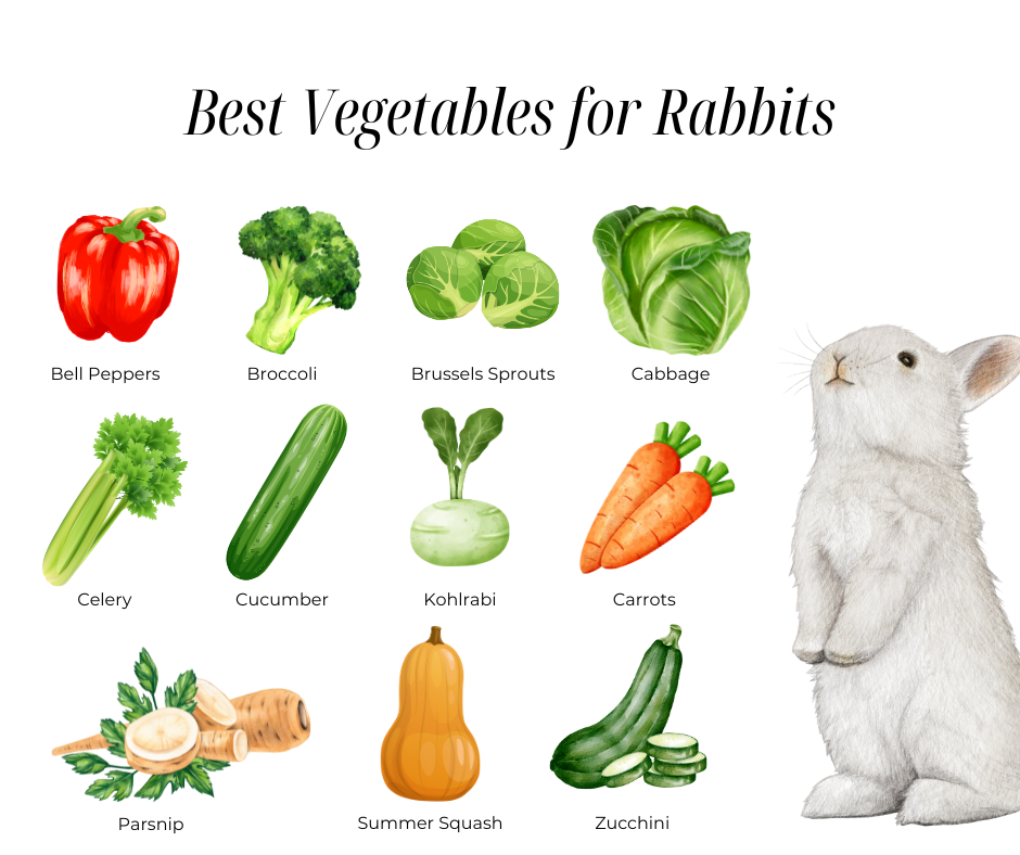 oxbow what vegetables can rabbits eat