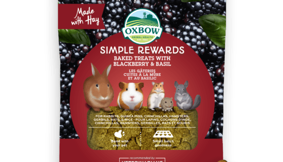 simple rewards baked treats blackberry basil