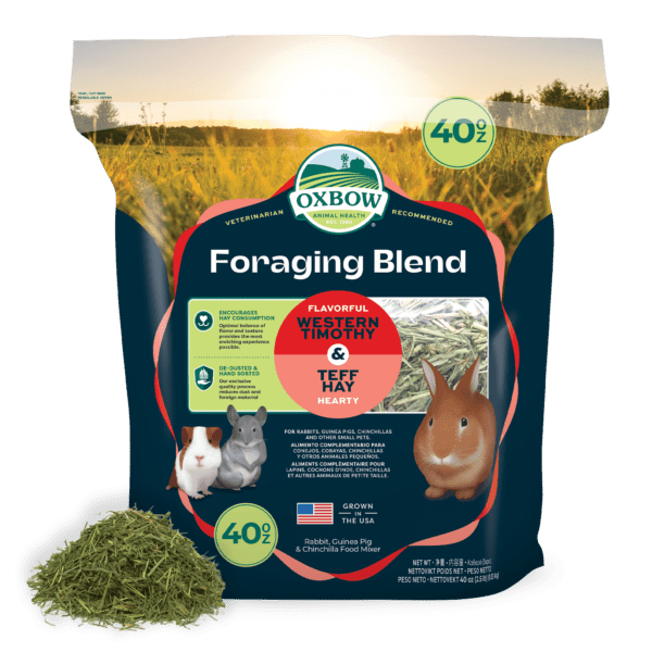 Oxbow Foraging Hay Blend Teff & Western Timothy Hay 40oz